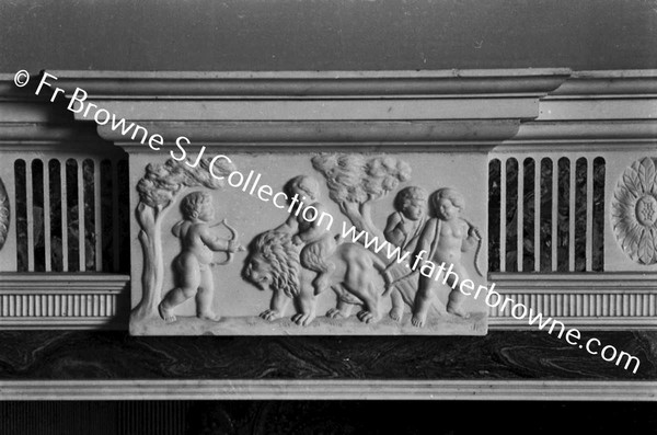 ABBEYLEIX HOUSE  FIREPLACE IN LIBRARY DETAIL